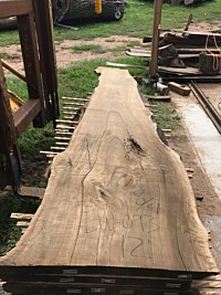 English Walnut